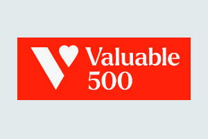 logo Valuable 500